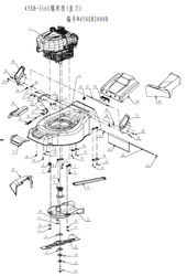KATALOG CZĘŚCI Weibang WB454SB 3IN1 Kosiarka spalinowa 
