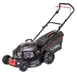 Kosiarka spalinowa Cedrus KS48